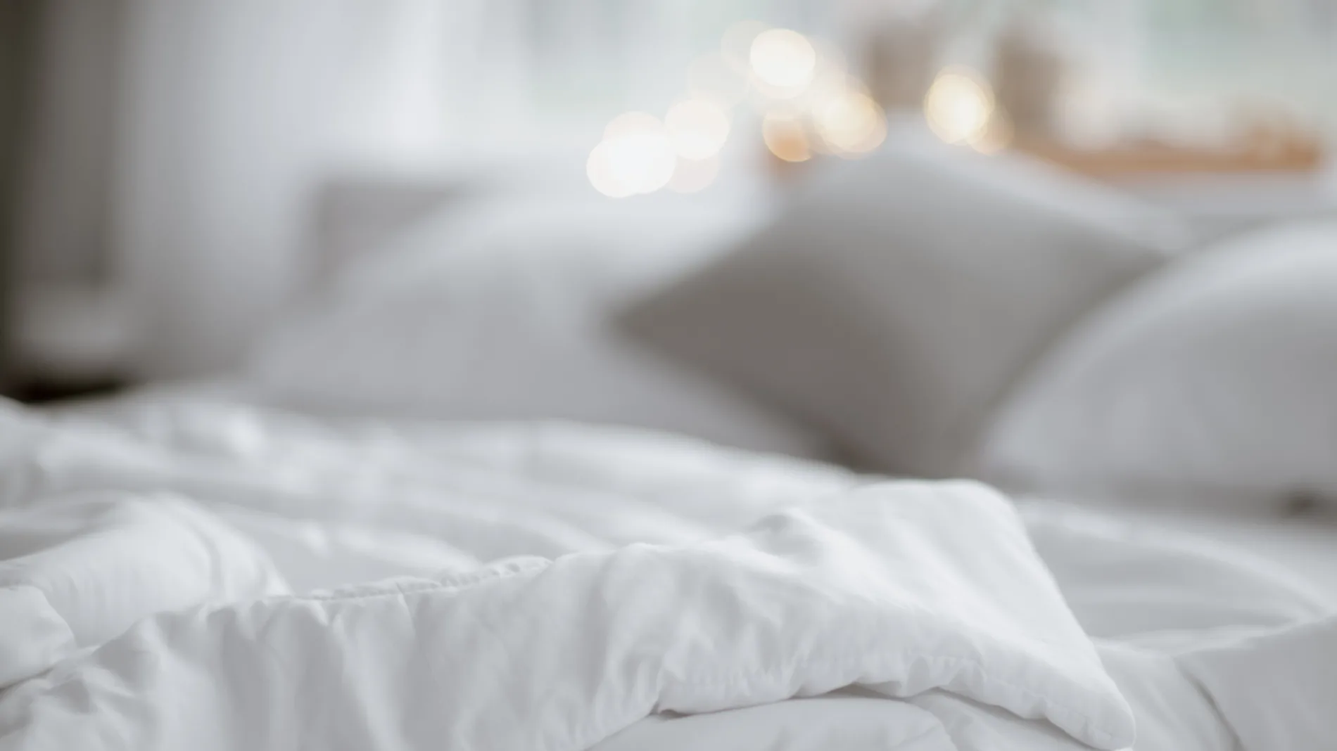 ิbed